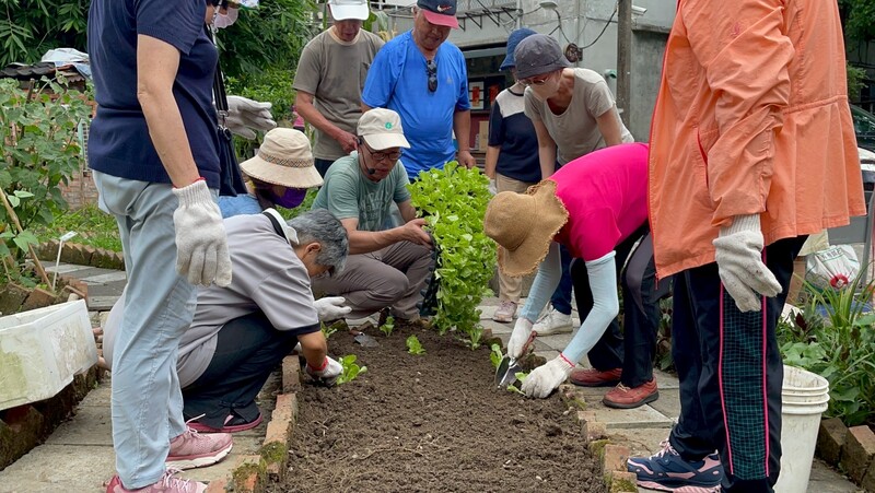 講師帶著學員運用農事耕種基本技巧種植菜苗
